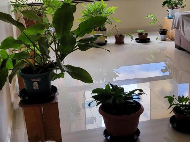 Apartamento venda em Região Geográfica Imediata do Distrito Federal, Região Integrada de Desenvolvimento do Distrito Federal e Entorno