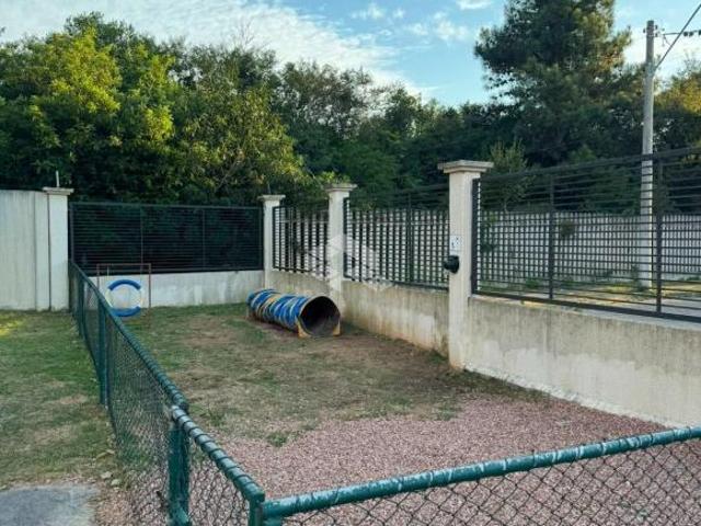 Apartamento venda em Pitinga, Porto Alegre