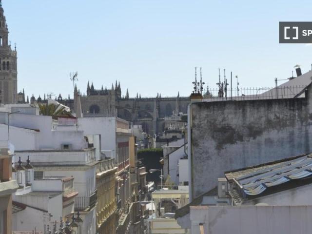 Piso en alquiler en Casco Antiguo, Sevilla