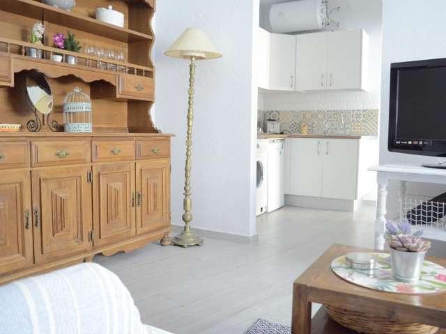 Apartamento en alquiler en Casco Antiguo, Sevilla