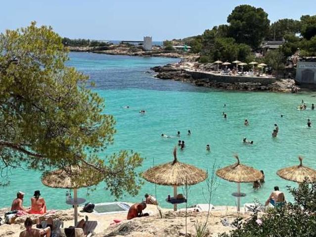Apartamento en alquiler en Calvià, Serra de Tramuntana