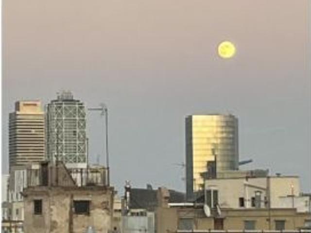 Piso en alquiler en Ciutat Vella, Barcelonès