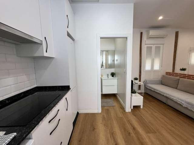 Estudio en alquiler en Embajadores, Madrid