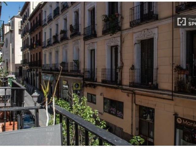 Piso en alquiler en Madrid, Universidad
