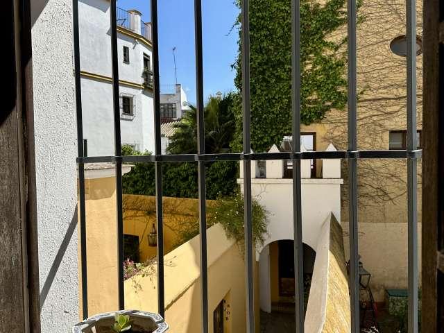 Apartamento en alquiler en Casco Antiguo, Sevilla
