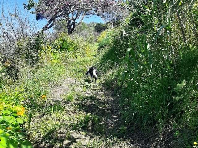 Apartamento alugar em Almada, Setúbal