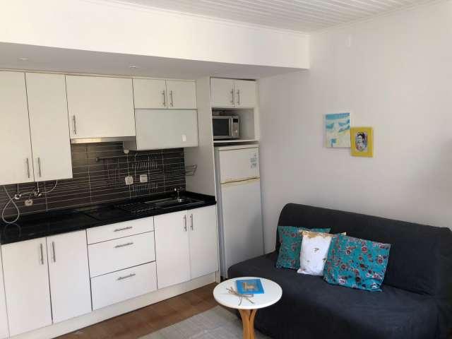 Apartamento alugar em Misericórdia, Lisboa