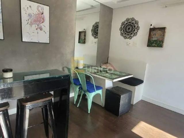 Apartamento aluguel em Jardim das Figueiras, Valinhos