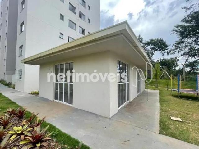 Apartamento venda em Maria Virgínia, Belo Horizonte