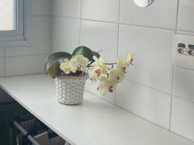 Apartamento venda em Guarulhos, Ponte Grande
