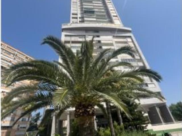 Piso en alquiler en Benidorm, Ponent
