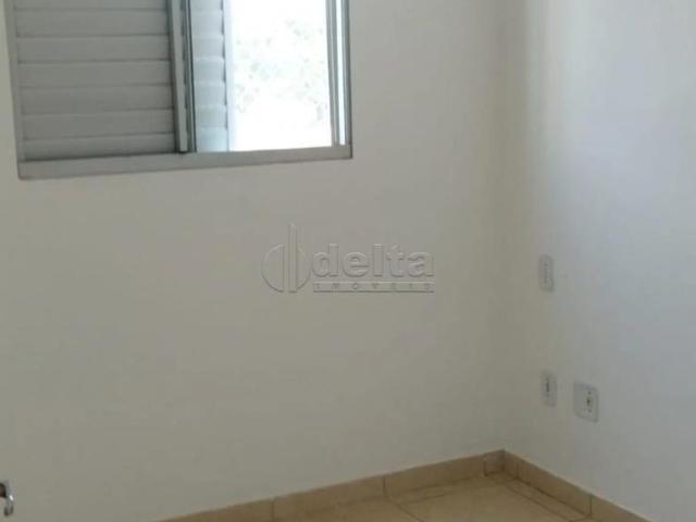 Apartamento aluguel em Jardim Holanda, Uberlândia