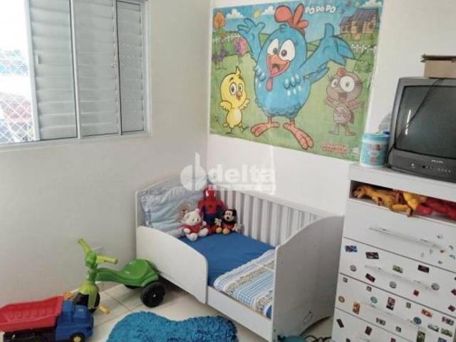 Apartamento venda em Dona Zulmira, Uberlândia