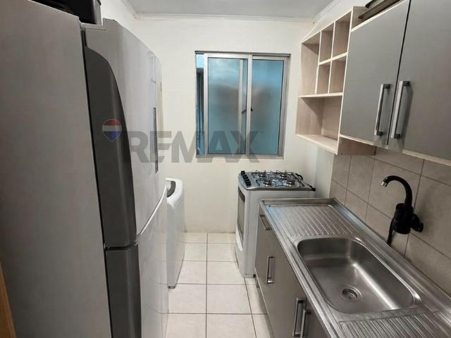 Apartamento aluguel em Região Geográfica Imediata de Passo Fundo, Passo Fundo