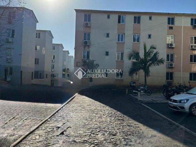 Apartamento venda em São Leopoldo