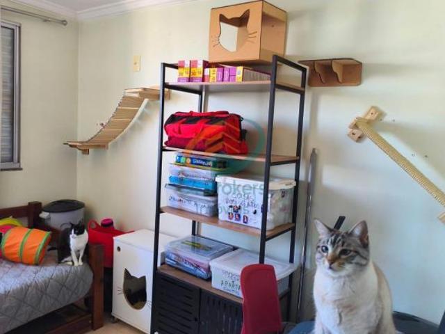 Apartamento venda em Distrito de Jardim Presidente Dutra, Guarulhos