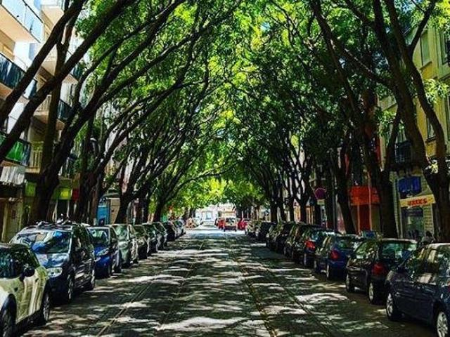 Loja venda em Campo de Ourique, Lisboa
