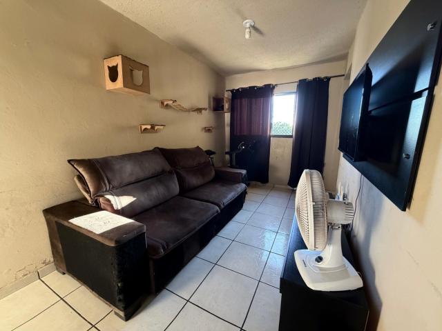 Apartamento venda em Campo Grande