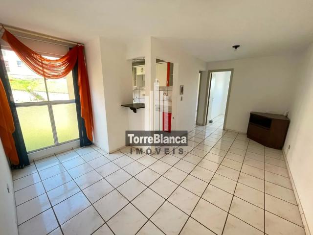 Apartamento aluguel em Vila Estrela, Ponta Grossa