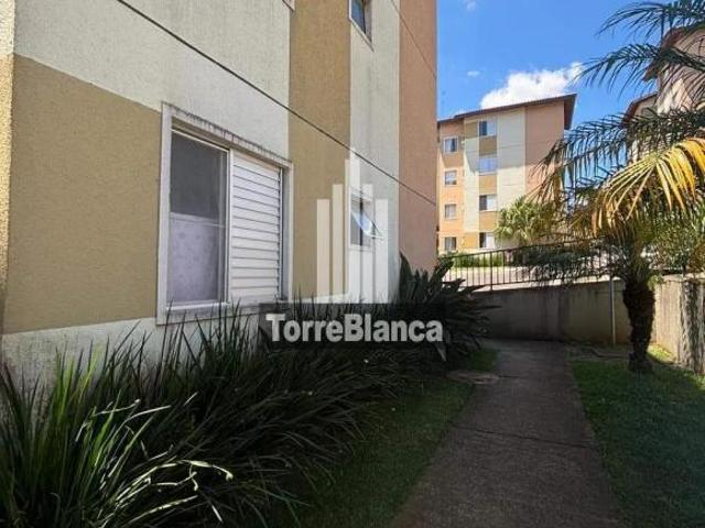 Apartamento venda em Região Geográfica Imediata de Ponta Grossa, Ponta Grossa