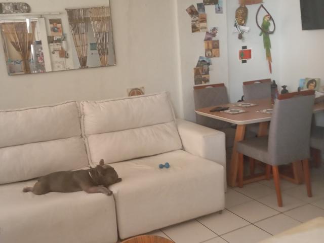 Apartamento aluguel em Região Imediata de Santos, Região Metropolitana da Baixada Santista