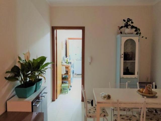 Apartamento venda em Região Imediata de Barretos, Região Metropolitana de São José do Rio Preto