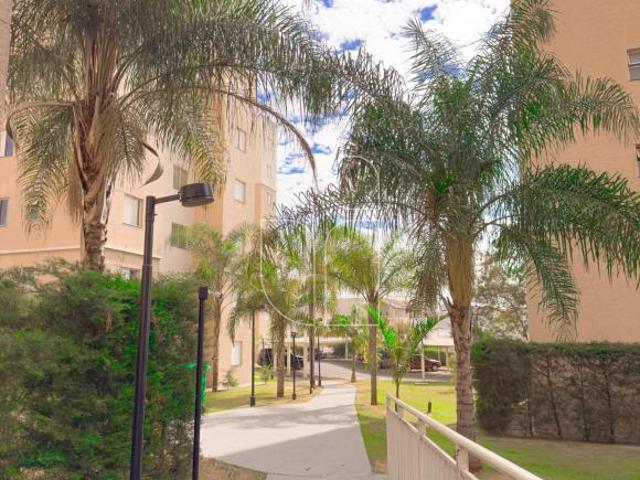 Apartamento venda em Região Imediata de Marília, Marília