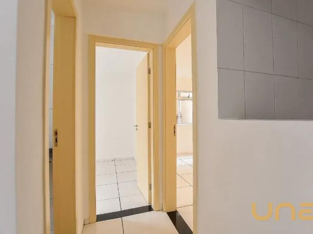 Apartamento aluguel em Residencial Portal da Bromélias, Pinhais