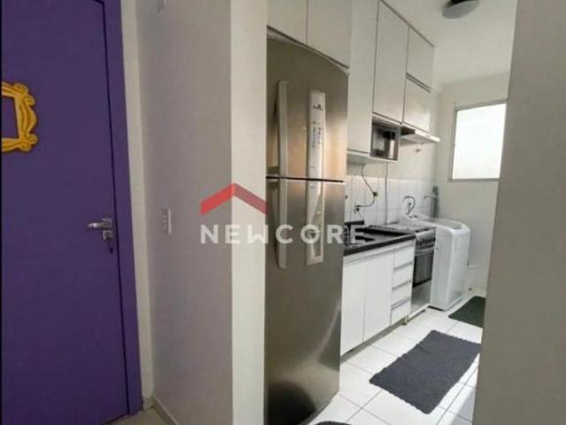 Apartamento venda em São José do Rio Preto