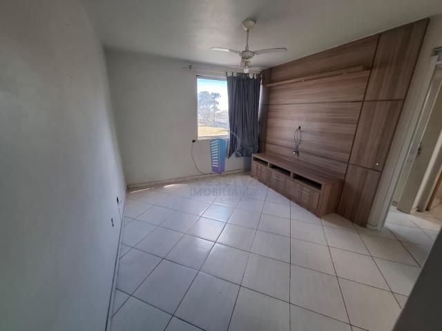 Apartamento aluguel em Região Geográfica Imediata de Itajaí, Itajaí