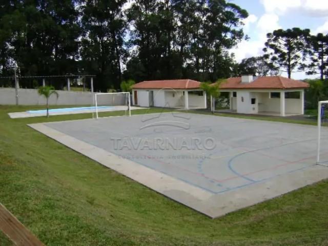 Apartamento aluguel em Região Geográfica Imediata de Ponta Grossa, Ponta Grossa