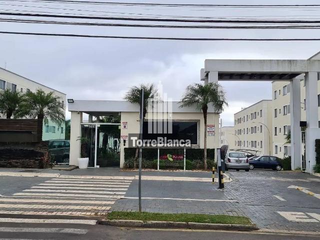 Apartamento aluguel em Região Geográfica Imediata de Ponta Grossa, Ponta Grossa