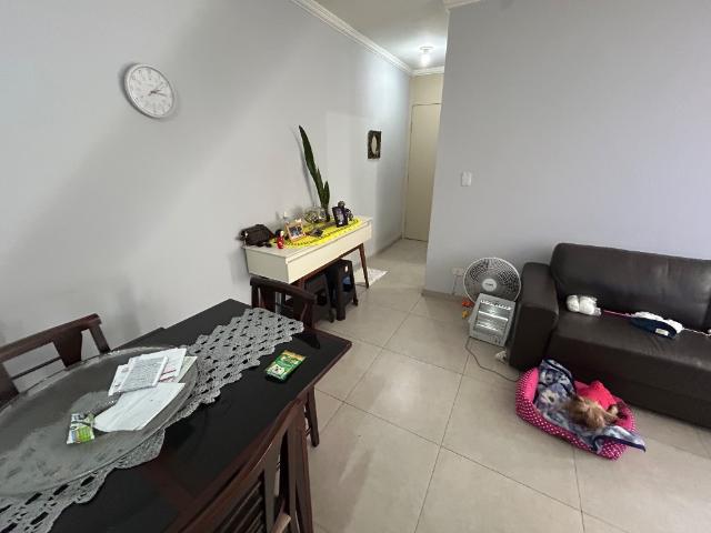 Apartamento venda em Parque das Paineiras, São Paulo