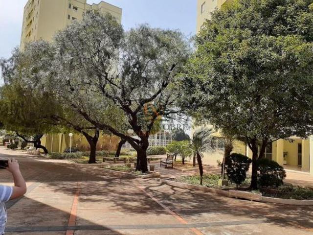 Apartamento venda em Vila Xavier, Araraquara