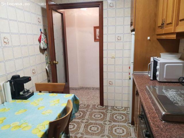 Piso en alquiler en Urbanització Pinar de Guardamar, Guardamar Del Segura