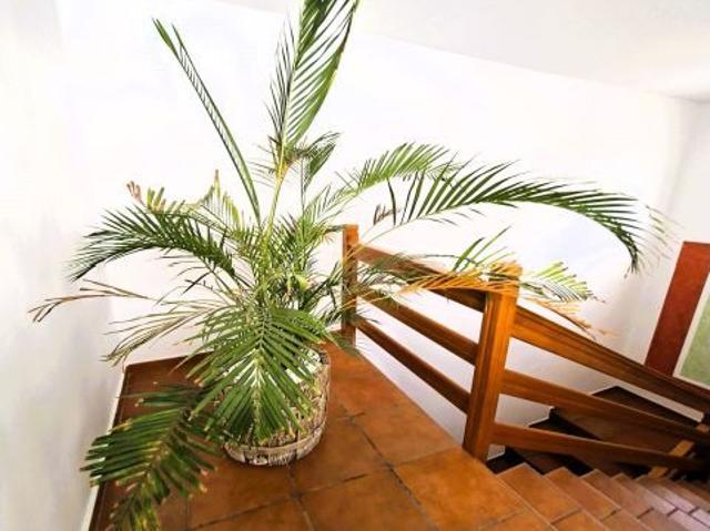 Piso en alquiler en Agüimes, Canarias