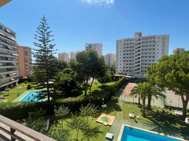 Apartamento en alquiler en Alicante, Entreplatges
