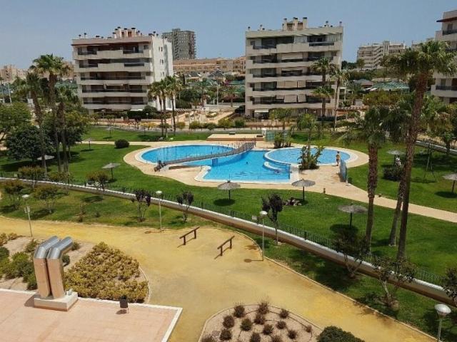 Apartamento en alquiler en Elche
