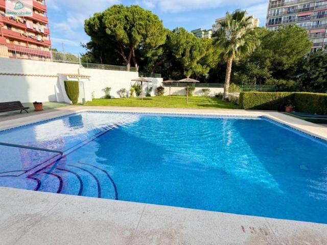 Apartamento en alquiler en Benidorm, la Cala