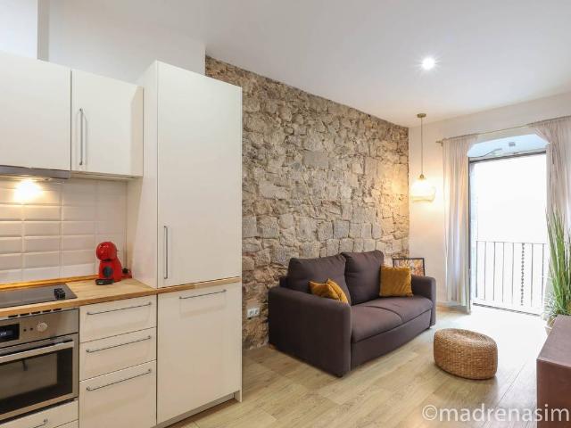 Apartamento en alquiler en Girona, Barri Vell
