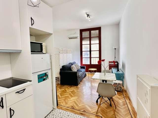 Estudio en alquiler en Centro, Madrid