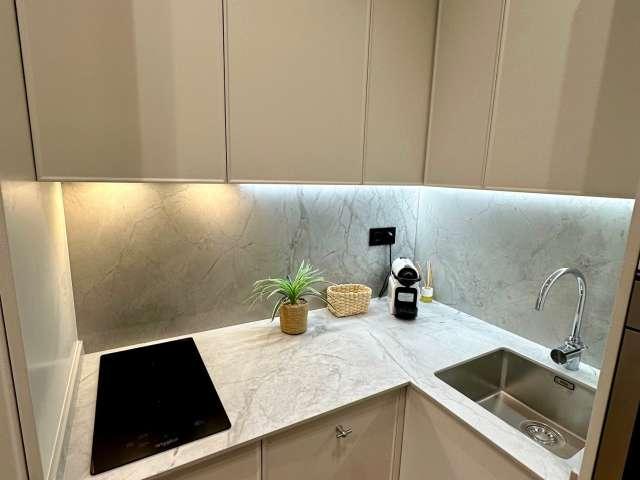 Estudio en alquiler en Madrid, Cortes