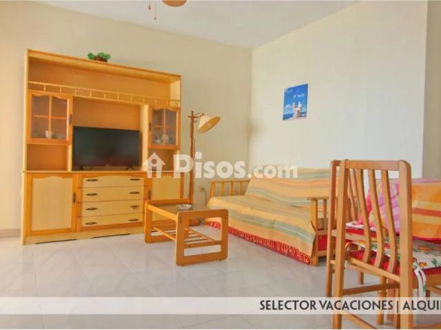 Apartamento en alquiler en Murcia, Área Metropolitana de Murcia
