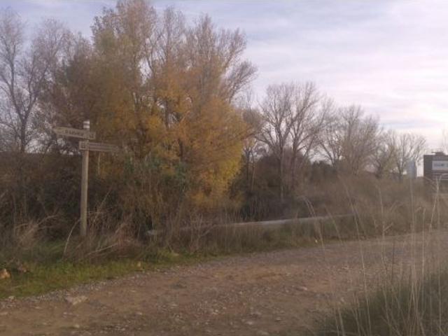 Local Comercial en venta en Cinco Villas, Aragón