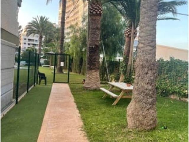 Apartamento en alquiler en San Juan De Alicante, la Platja de Sant Joan