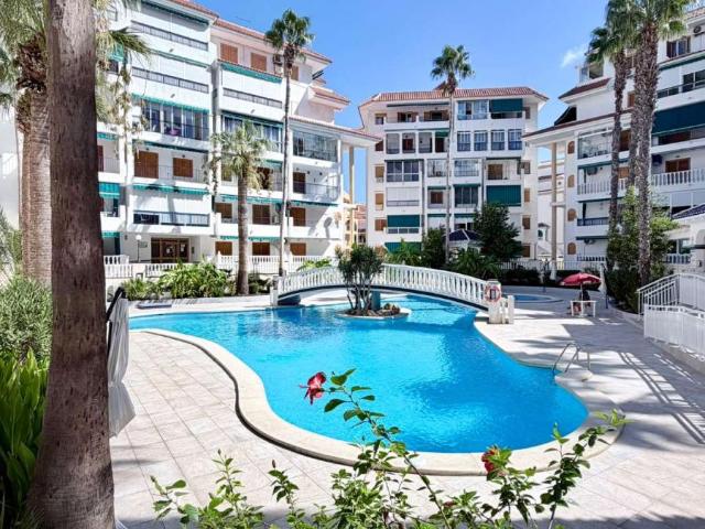 Apartamento en alquiler en La Mata, el Baix Segura / La Vega Baja