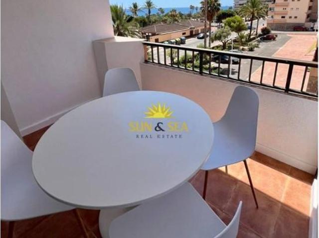 Apartamento en alquiler en Torrevieja, Residencial La Torre