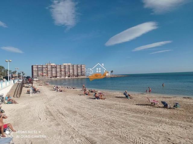 Apartamento en alquiler en Torrevieja