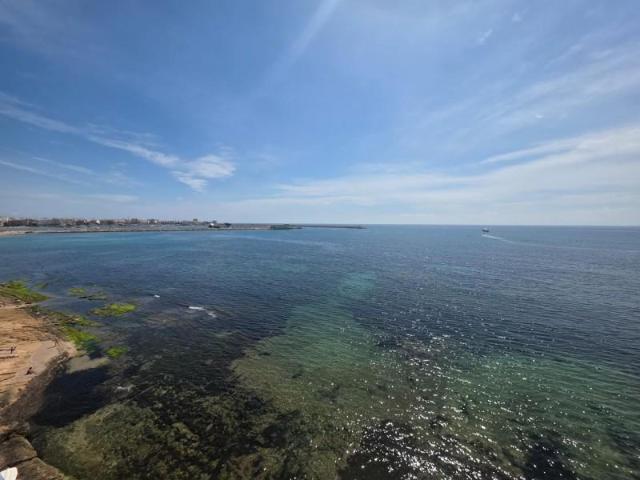Apartamento en alquiler en Torrevieja
