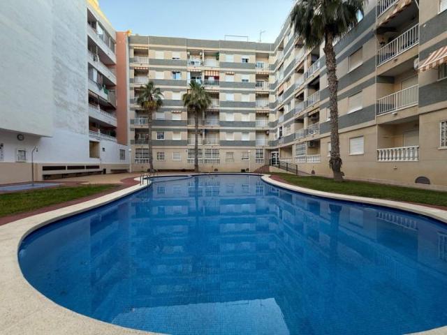 Apartamento en alquiler en Torrevieja, El Palmeral